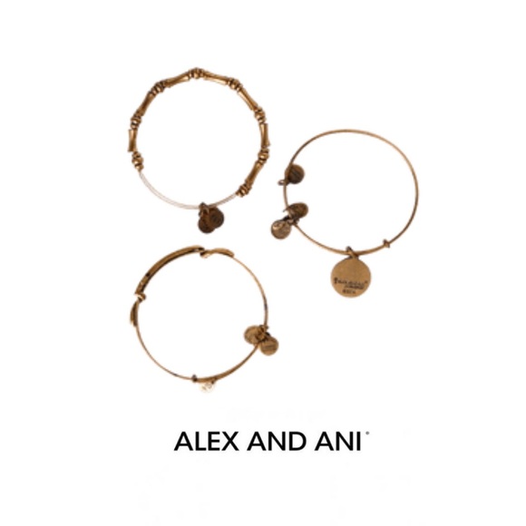 Alex and Ani Expandable Bangle Bracelet - Picture 2 of 3
